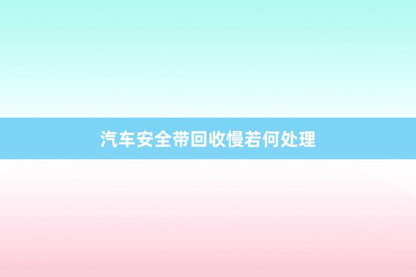 汽车安全带回收慢若何处理